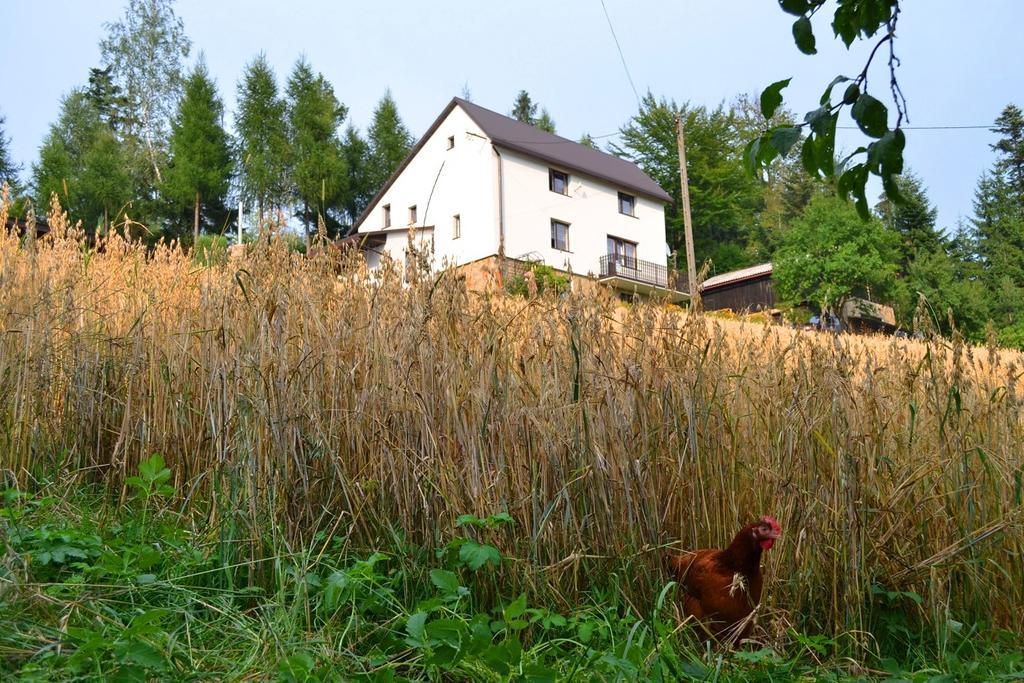 Kwatera Pod Lasem Istebna Exteriör bild