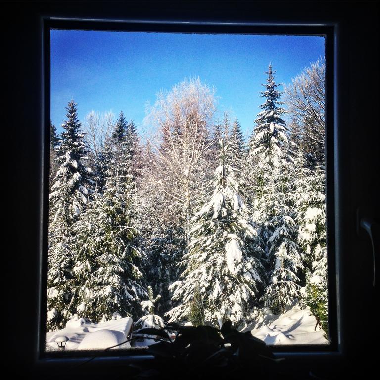 Kwatera Pod Lasem Istebna Exteriör bild