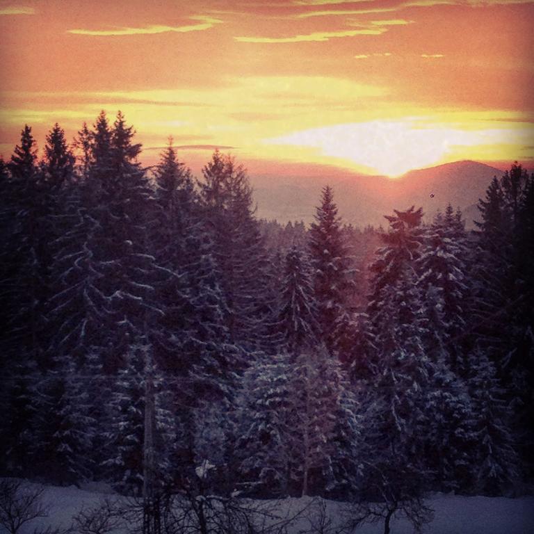 Kwatera Pod Lasem Istebna Exteriör bild