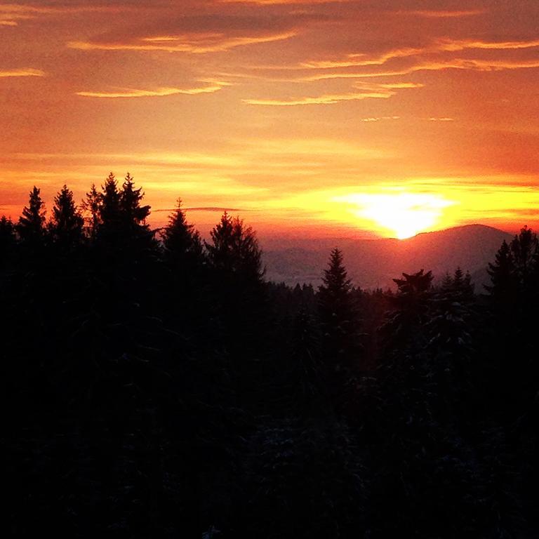 Kwatera Pod Lasem Istebna Exteriör bild