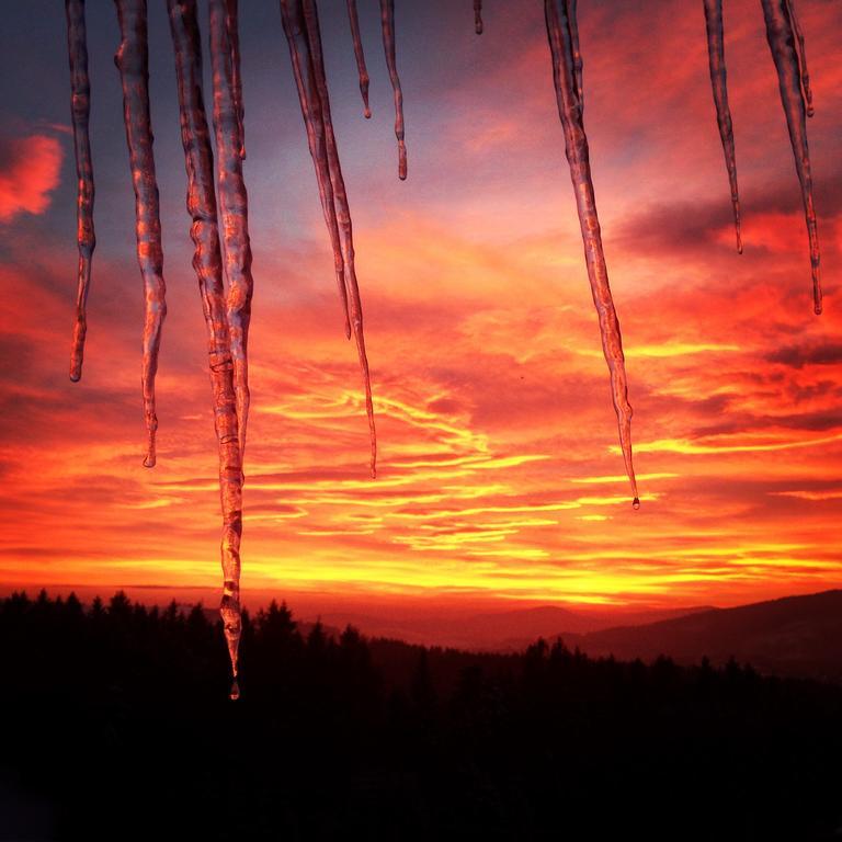 Kwatera Pod Lasem Istebna Exteriör bild